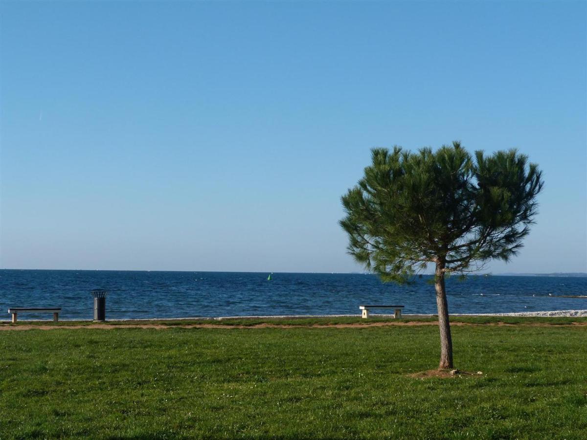 Lovely Fazana Apartments 400M From The Sea Zewnętrze zdjęcie
